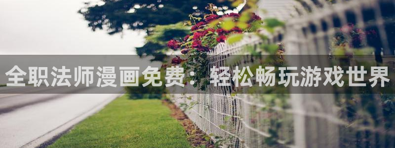 韩漫画男同：全职法师漫画免费：轻松畅玩游戏世界