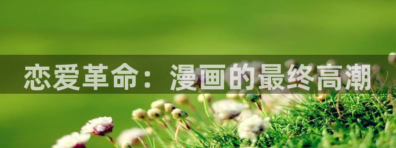 韩漫宫网：恋爱革命：漫画的最终高潮