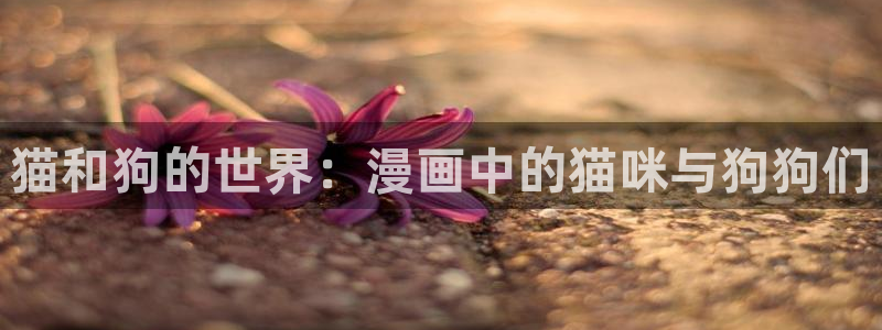 免费韩漫在线观看免费：猫和狗的世界：漫画中的猫咪与狗狗们