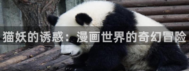 富家女姐姐韩漫免费在线观看：猫妖的诱惑：漫画世界的奇幻冒险