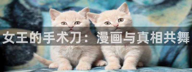 韩漫画在线免费看漫画app无删减：女王的手术刀：漫画与真相共舞
