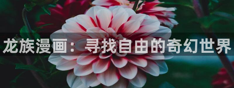 夜日韩漫：龙族漫画：寻找自由的奇幻世界